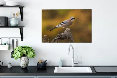 Zdjęcie produktu dla MuchoWow® - Obraz na płótnie - Ptak - Gałąź - Sójka, fototapeta, dekoracja ścienna, obrazy do salonu, 90x60cm