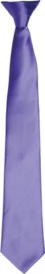 Image de Premier - Cravate homme/femme unie PC6346 (taille unique) (Violet)