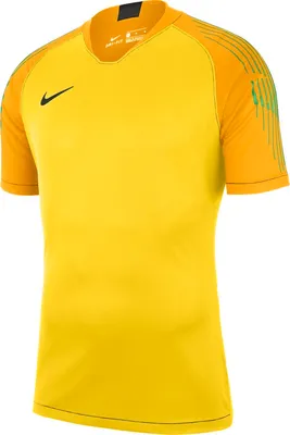 Obrázek produktu pro Nike Trička Gardien II GK, 894512719, Größe: 178