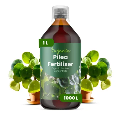 Zdjęcie produktu dla Pilea Nawóz Płynny 1 L – 3-4-3 NPK – Do Pileu – Podporuje Silny Wzrost i Zdrowe Liście – Organifer
