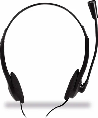 Immagine prodotto di Logilink Headset stereo umweltfreundl. verp. 2x 3,5mm Klinke