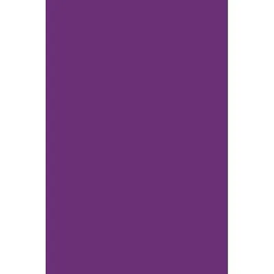 Produktbild von KNORR PRANDELL 218436282 Filz 20 x 30 x 0,1 cm 100 % Viskose violett