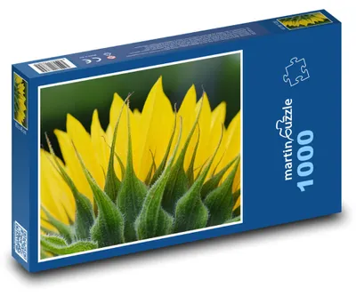 Produktbild von Puzzle 1000 Sonnenblume - Blume Naturdarstellung - martinpuzzle