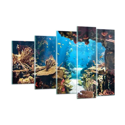 Produktbild von Bilder auf glas - Ozean Riff Fische Koralle - 150x100cm - Glasbilder - Wandbilder - Kunstdruck - zum Aufhängen bereit - Wanddekoration aus Glas - Glas Bilder - Wandbild auf Glas - GEG150x100-2872