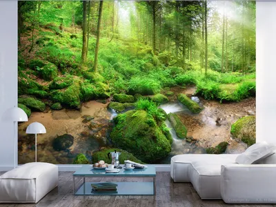 Zdjęcie produktu dla Fototapeta flizelinowa las 400x280 cm fototapeta XXL natura drzewa zielona c-B-0374-a-a