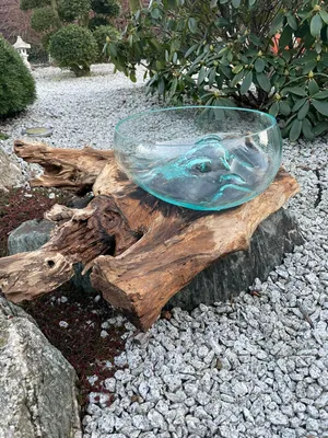 Produktbild von Dekoglas XL, Wurzelholz Glasschale XL, Liqva Schale XL