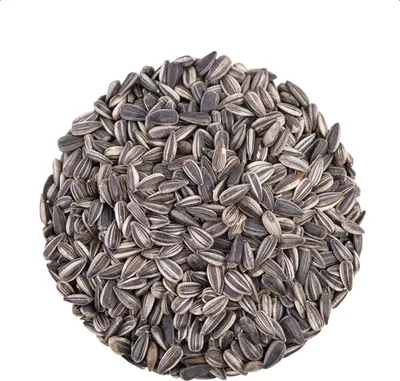 Immagine prodotto di 25 kg. Semi di girasole Boill 100% a strisce - cibo per uccelli direttamente dal produttore