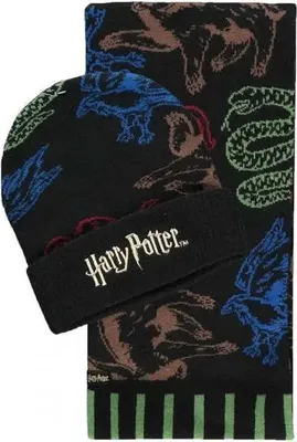 Produktbild von DIFUZED Harry Potter Schal- und Mützenset, Schwarz