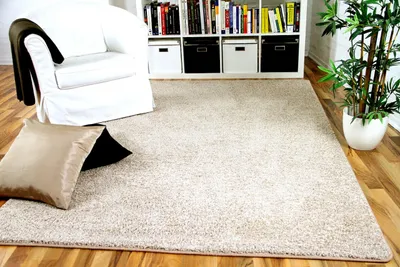 Produktbild von Hochflor Velours Teppich Mona Natur, Größe:400x500 cm