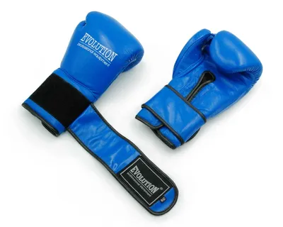 Obrázek produktu pro Kožené boxerské rukavice Evolution PRO++ modré - 10 oz, modré