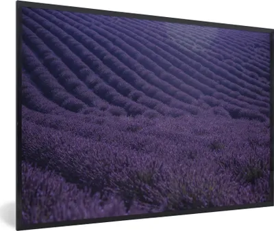 Produktbild von MuchoWow® MuchoWow® Gerahmtes Poster Blühendes Lavendelfeld auf sanften Hügeln 60x40 cm - Poster mit zchwarzem Bilderrahmen - Printing - Wanddeko Schlafzimmer
