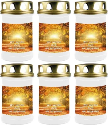 Zdjęcie produktu dla Świeca grobowa biała 6-pak, czas palenia: 48 godzin (na świecę), motyw: avenue