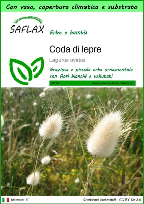 Immagine prodotto di SAFLAX Garden to go - Coda di lepre - 100 semi - Lagurus