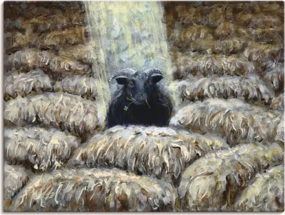 Produktbild von ARTland Leinwandbild Schwarzes Schaf Größe: 120x90 cm