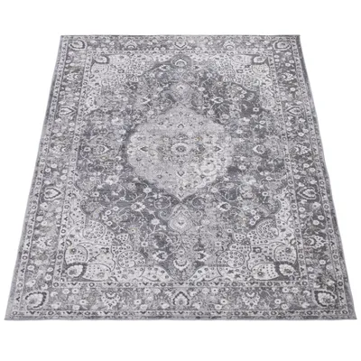 Image de Tapis salon à poils courts vintage abstrait oriental moderne bordure dimensions 120 x 170 cm