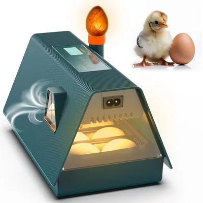Brutmaschine für 10 Eier, automatische Drehung, Feuchtigkeitskontrolle