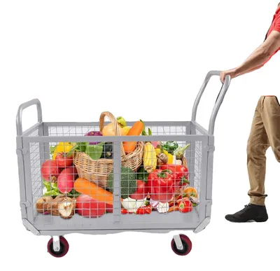 Obrázok produktu pre Platformový vozík, otočný o 360 stupňov, vysoká nosnosť, sivý