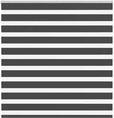 Produktbild von Doppelrollo Schwarz 150x150 cm Stoffbreite 145,9 cm Polyester