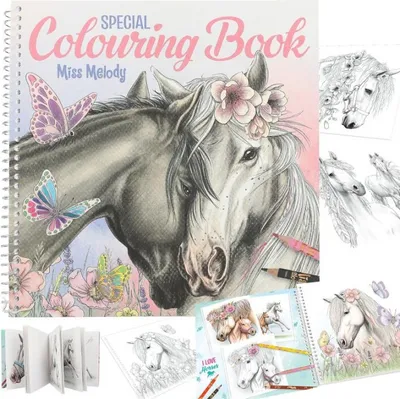 Produktbild von Miss Melody Special Malbuch