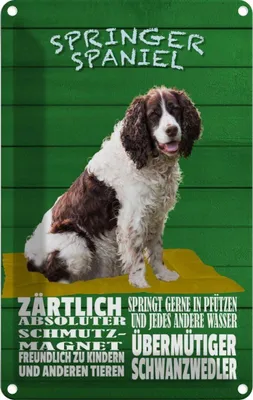 Produktbild von vianmo Blechschild 30x20 cm Springer Spaniel Hund zärtlich Tier Haustier