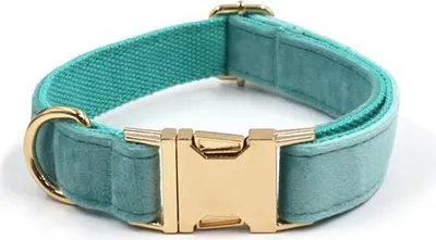 Image de Collier pour chien Lakeblue XS