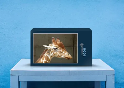 Produktbild von hansepuzzle 78222 - Giraffe Puzzle, 1000 Teile, Natur, 60,0 x 46,0cm mit hochwertiger Aufbewahrung, Kartonbox und wiederverschließbarem Beutel