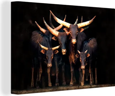 Produktbild von MuchoWow® - Leinwandbilder - Kuh - Watussie - Stier - Schwarz, Wandbild, Wanddeko Bilder Wohnzimmer, 120x80cm