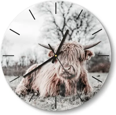 Produktbild von DEQORI Glasuhr Ø30 cm Modern 'Ruhendes Hochland' Wanduhr Glas Uhr Design leise Küchenuhr