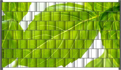 Produktbild von Wallario Zaunsichtschutz mit Motiv Frische Basilikumblätter für Ein- und Doppelstabmatten Zäune in der Größe 250 x 140 cm