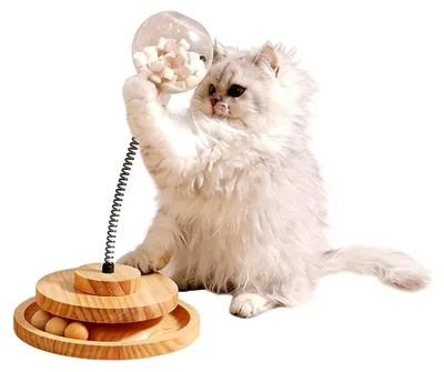 Produktbild von Interaktives Katzenspielzeug zur Selbstbeschäftigung mit Futterball
