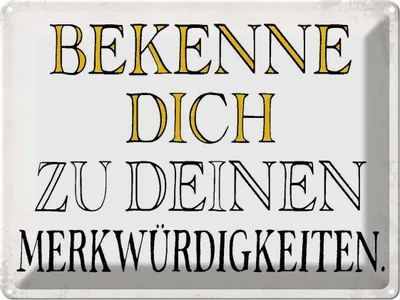 Produktbild von vianmo Blechschild 30x40 cm bekenne dich Merkwürdigkeiten Spruch Zitat