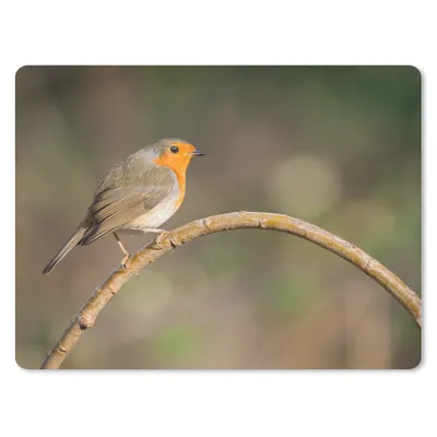 Produktbild von MuchoWow® Mauspad Mousepad Rotkehlchen - Vogel - Natur 40x30 cm - Mousepads - Maus Mat - Pad - Mausunterlage - Anti Rutsch