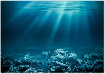 Produktbild von Tulup® Glas-Bild - 100 x 70 - Wandbild aus Glas - Wandkunst - Wandbild hinter gehärtetem Sicherheitsglas - Landschaften - Unterwasserwelt - Blau