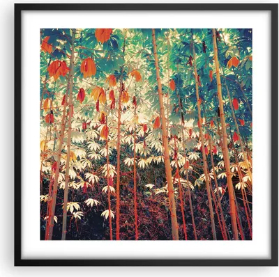 Produktbild von Gerahmtes Poster - Schwarzer Rahmen - Pflanzen tropisch orange - 50x50 cm - Wand Bild - Wanddeko - Wandbilder - Kunstposter - Wandposter - Bilderrahmen - Bilder - Kunstdruck - P2BAC50x50-4393
