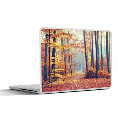 Produktbild von MuchoWow® Laptop Aufkleber Sticker Cover Wald - Herbst - Laub 31x22.5 cm - Laptop-Deko