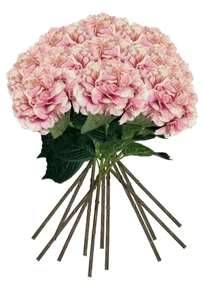 Image de Lot de 12 hortensias artificiels, diamètre 20 cm, couleur rose