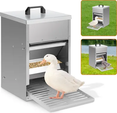 Produktbild von Jayseuw Futterautomat 5 kg verzinkt Futterspender mit Deckel für Geflügel Puten Gänse Enten - 41.5x42.5x25.5cm
