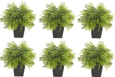 Produktbild von 6er Set künstlicher Bambus, Bamboo im Topf H. 25cm grün Emerald Zimmerpflanzen