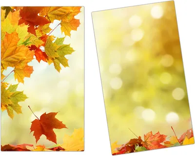 Produktbild von Spritzschutz Herdabdeckplatte Schneidebrett aus Glas Herbstblätter im Sonnenlicht 2-Teilig (60x52cm)