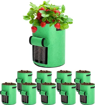 Immagine prodotto di Jopassy Sacchi per piante Sacca per piante Sacchetto per piante Tessuto non tessuto Cesto per piante - 5 pezzi 38 L (10 galloni)