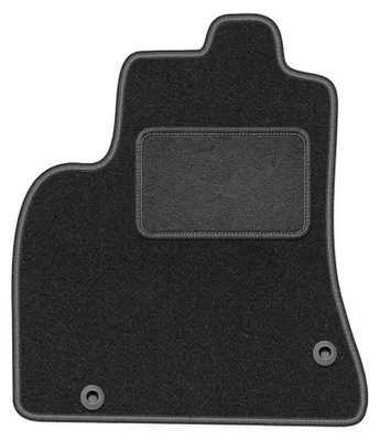 Immagine prodotto di Tappetino guidatore in moquette per Citroen Berlingo II 2008-2018 (multispazio) – 1 pezzo, grigio grafite, su misura – Wielganizator LUX