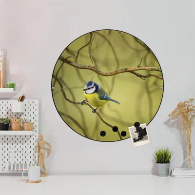 Produktbild von Design Stahlmagnettafel Schwarz Rund 47cm Blaumeise im Baum