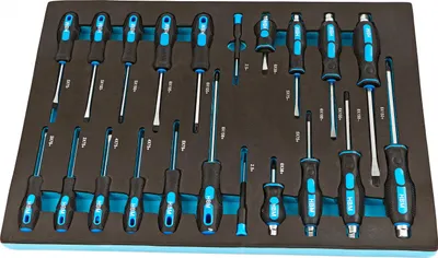 Immagine prodotto di Modulo con inserto in schiuma per carrelli portautensili 54 x 39,5 x 3 cm, kit cacciaviti professionali, 21 pezzi Hbm Machines Olanda