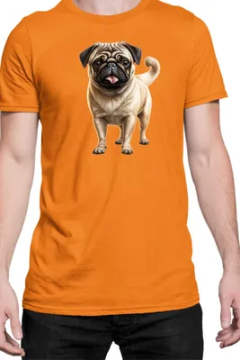 Immagine prodotto di Maglietta da uomo Dogs Breeds Pug Dog Breed 007, Man 2XL , Orange