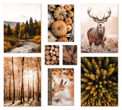 Image de ARTFAVES® - Ensemble de posters "Forêt d'automne I", composition murale en plusieurs parties pour salon ou chambre. Impressions murales sur le thème de l'automne, vendues sans cadre