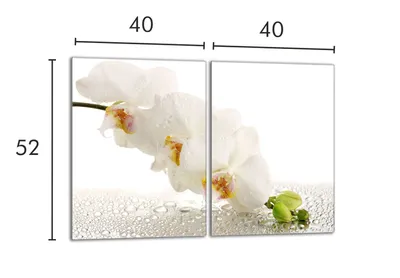 Produktbild von Glasschutzplatte für den Herd 2x40x52 Orchidea
