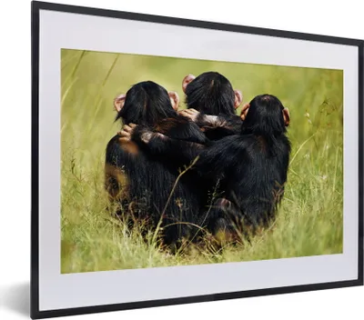 Produktbild von MuchoWow® MuchoWow® Gerahmtes Poster Affe - Gras - Tiere 40x30 cm - Poster mit zchwarzem Bilderrahmen - Bilderrahmen - Poster im Rahmen
