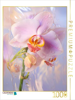 Produktbild von CALVENDO Puzzle Blumenpracht | 1000 Teile Lege-Größe 64x48cm Foto-Puzzle für glückliche Stunden