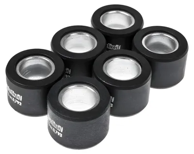 Zdjęcie produktu dla Zestaw ciężarków do variatora Polini, rolki do variatora, wymiary 24 x 18 mm, waga 18,0 g