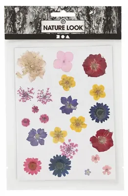 Produktbild von Creativ Company 504475, Gemischte Farben